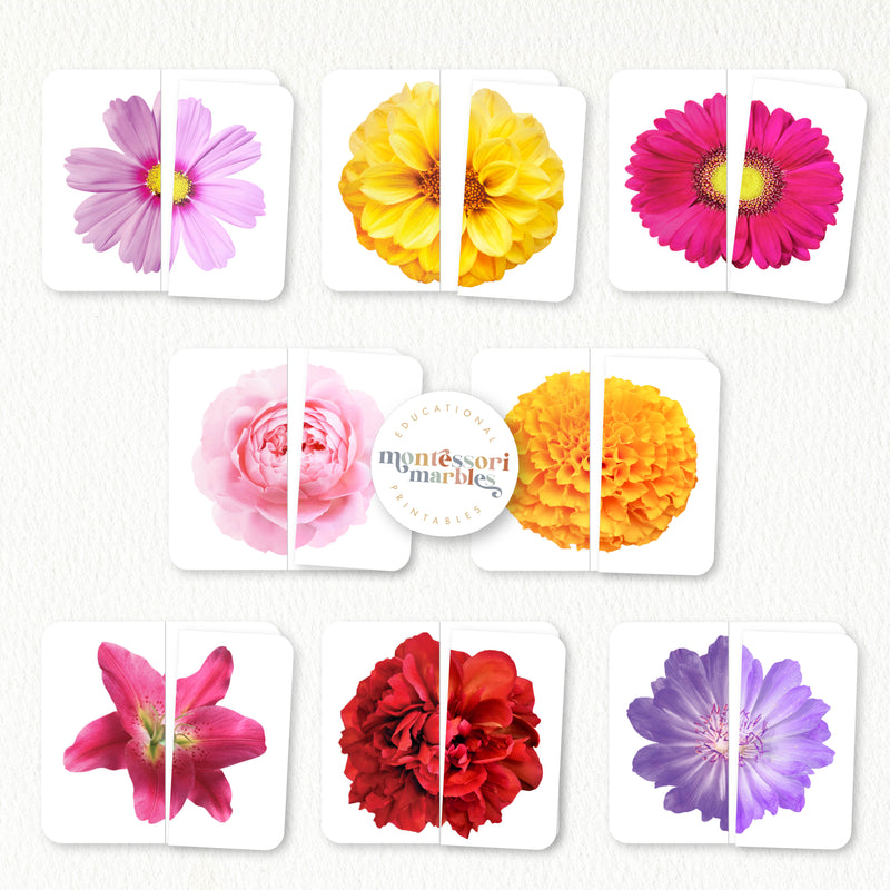 Spring Flowers Collection