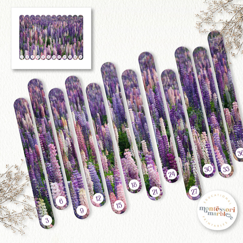 Spring Flowers Collection