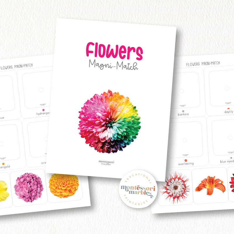 Spring Flowers Collection