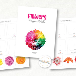 Spring Flowers Activity Bundle for Early Years