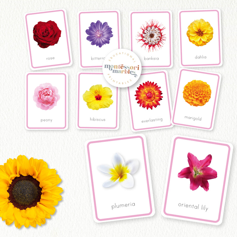 Spring Flowers Collection