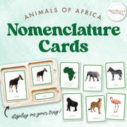 African safari animals nomenclature cards for geography — ages 3-6