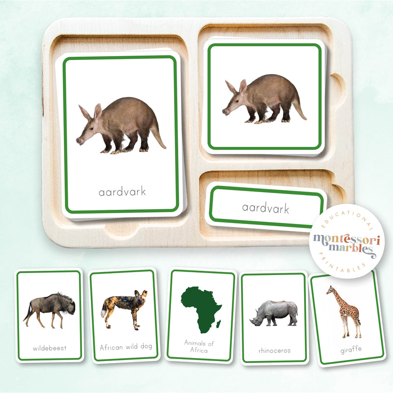 Animals of Africa Nomenclature Cards