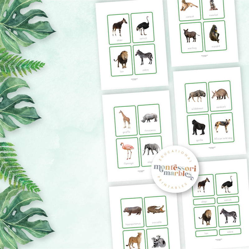 Animals of Africa Nomenclature Cards