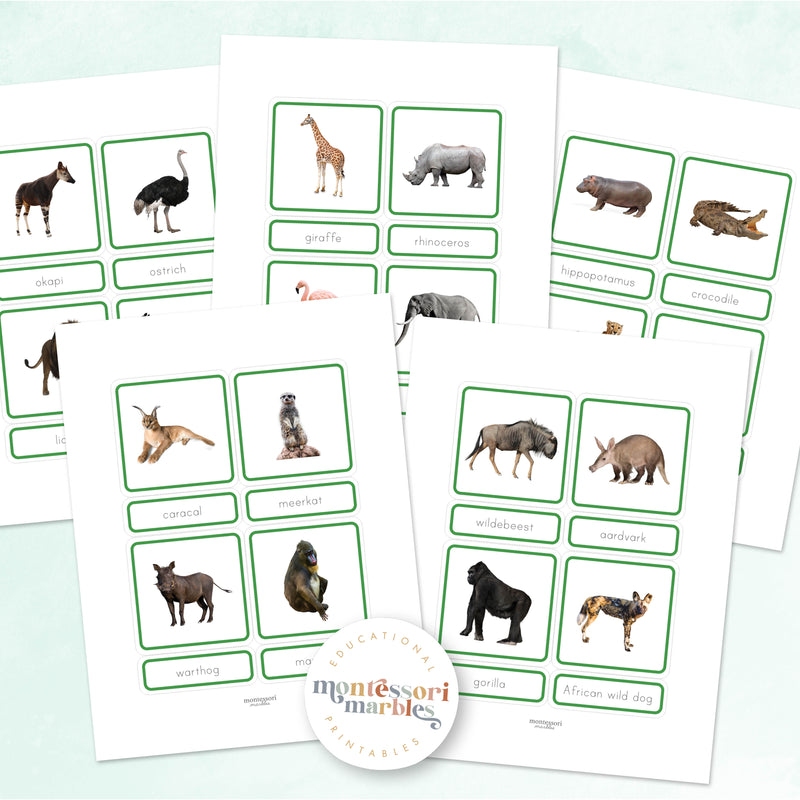 Animals of Africa Nomenclature Cards