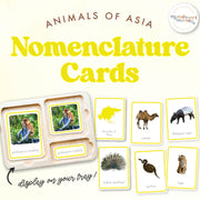 Asian animals nomenclature cards for continental geography — ages 3-6