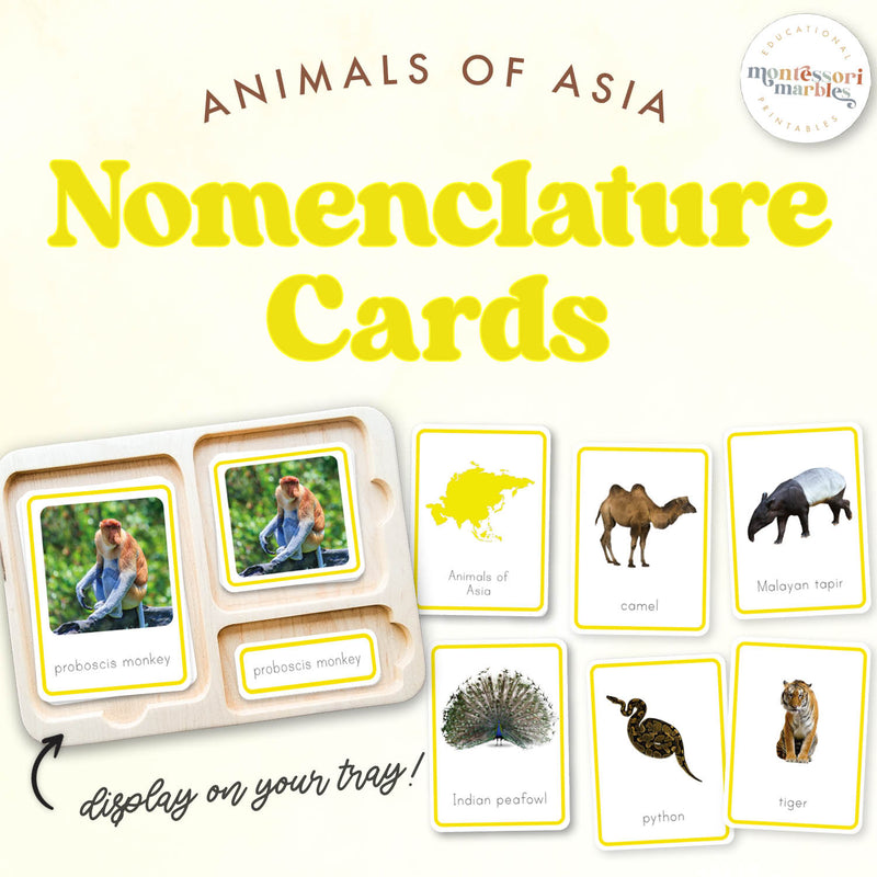 Asian animals nomenclature cards for continental geography — ages 3-6