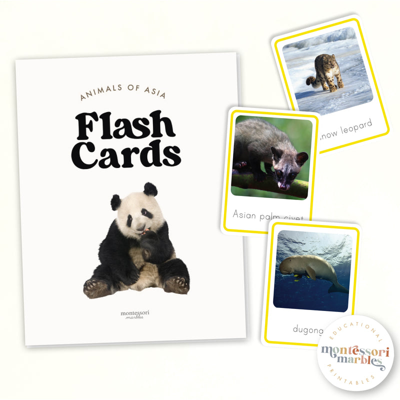 Animals of Asia Nomenclature Cards