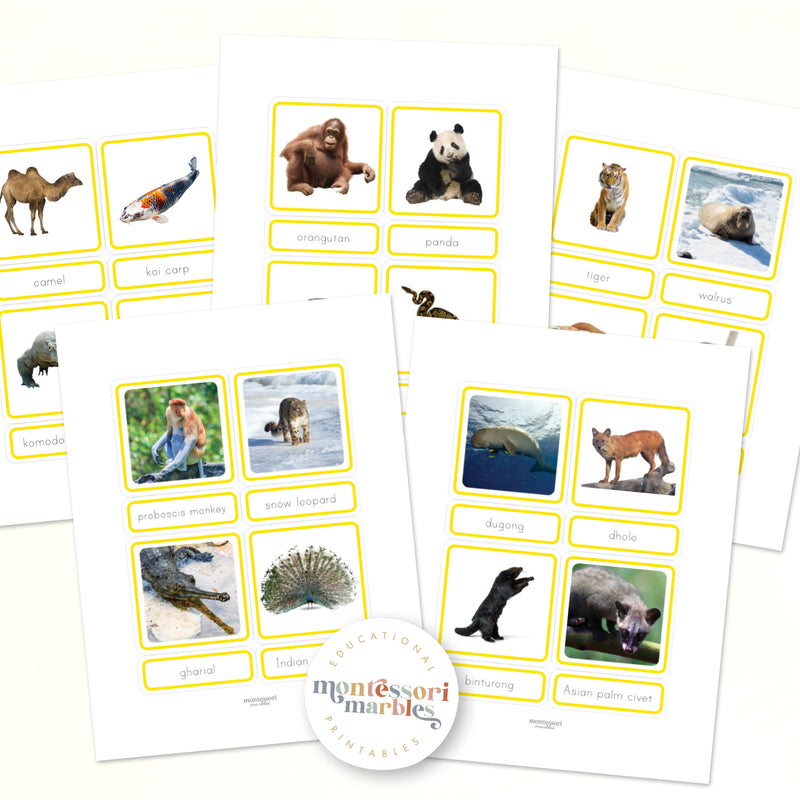Animals of Asia Nomenclature Cards