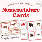 European animals nomenclature cards for continental geography — ages 3-6