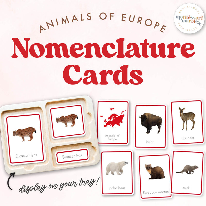 European animals nomenclature cards for continental geography — ages 3-6