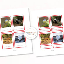 Load image into Gallery viewer, Animals of Europe Nomenclature Cards
