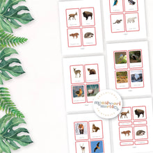 Load image into Gallery viewer, Animals of Europe Nomenclature Cards
