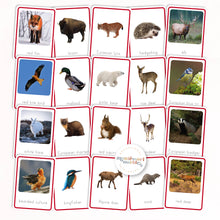 Load image into Gallery viewer, Animals of Europe Nomenclature Cards
