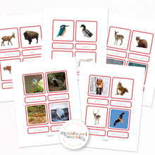 Load image into Gallery viewer, Animals of Europe Nomenclature Cards
