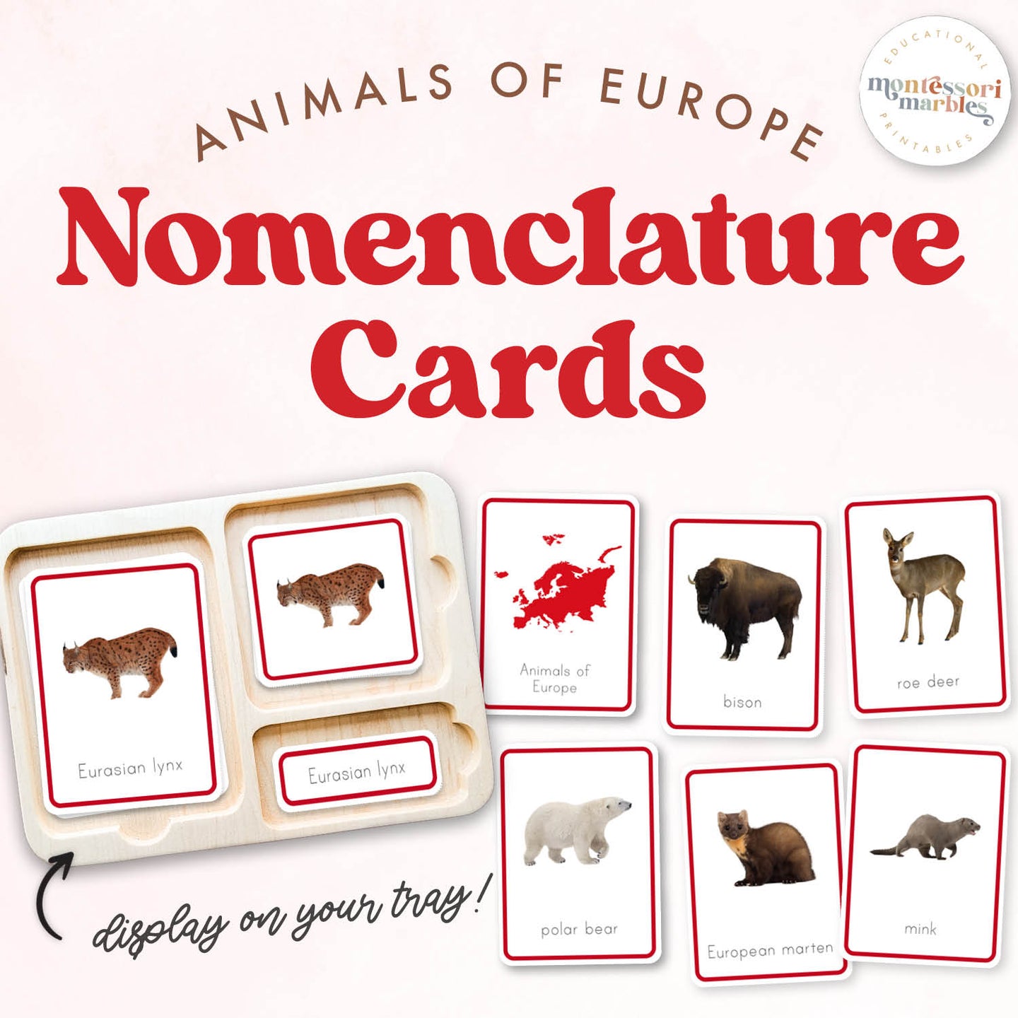 Animals of Europe Nomenclature Cards