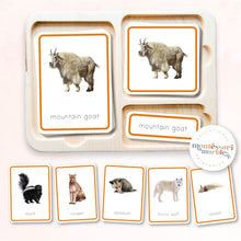 Load image into Gallery viewer, Animals of North America Nomenclature Cards
