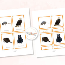 Load image into Gallery viewer, Animals of North America Nomenclature Cards
