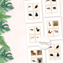 Load image into Gallery viewer, Animals of North America Nomenclature Cards
