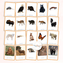 Load image into Gallery viewer, Animals of North America Nomenclature Cards
