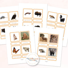 Load image into Gallery viewer, Animals of North America Nomenclature Cards
