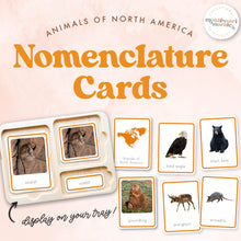 Load image into Gallery viewer, Animals of North America Nomenclature Cards
