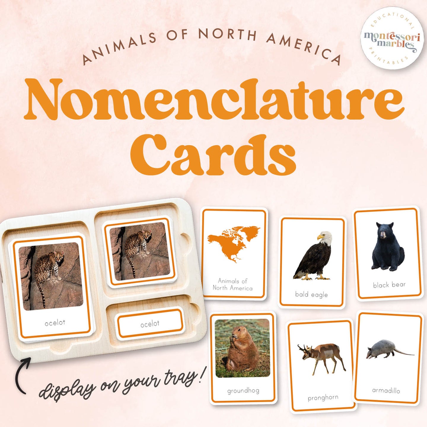 Animals of North America Nomenclature Cards