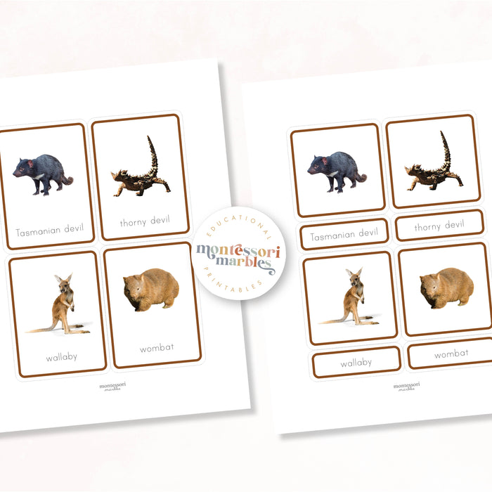 Animals of Oceania Nomenclature Cards