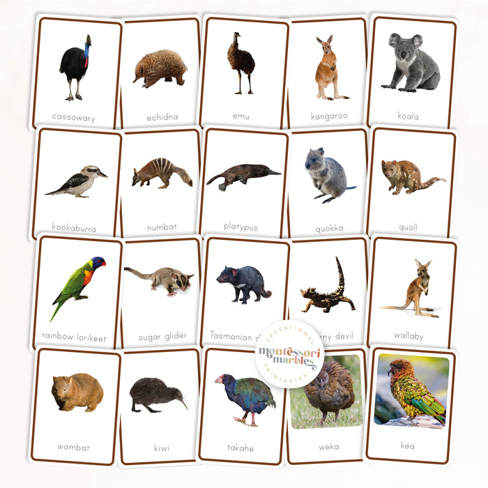 Animals of Oceania Nomenclature Cards