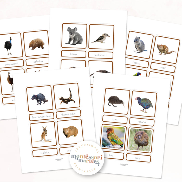 Animals of Oceania Nomenclature Cards