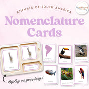 South American animals nomenclature cards for continental geography — ages 3-6