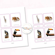 Load image into Gallery viewer, Animals of South America Nomenclature Cards
