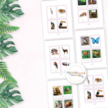 Load image into Gallery viewer, Animals of South America Nomenclature Cards
