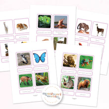 Load image into Gallery viewer, Animals of South America Nomenclature Cards
