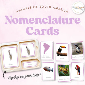 Animals of South America Nomenclature Cards