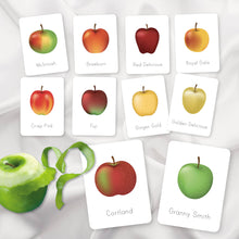 Load image into Gallery viewer, Apples Flash Cards
