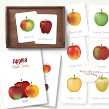 Load image into Gallery viewer, Apples Flash Cards
