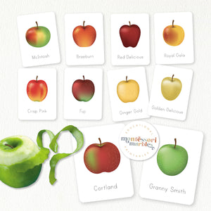 Apples Flash Cards