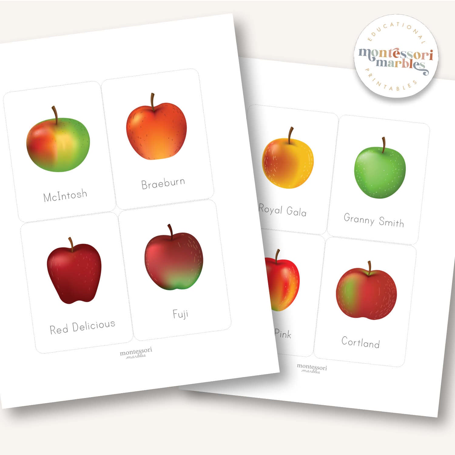 Apple Varieties Flash Cards | 10 Types Fruit Identification Ages 4