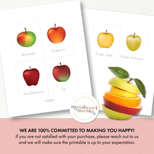 Apples Flash Cards