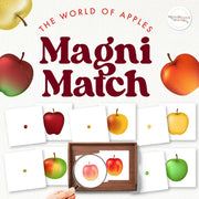 Apples magnifying match for visual discrimination