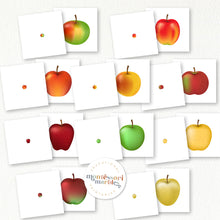 Load image into Gallery viewer, Apples Activity Bundle for Early Years
