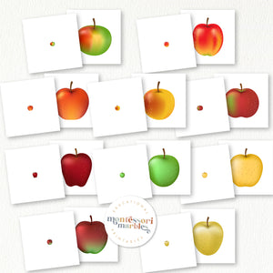 Apples Activity Bundle for Early Years