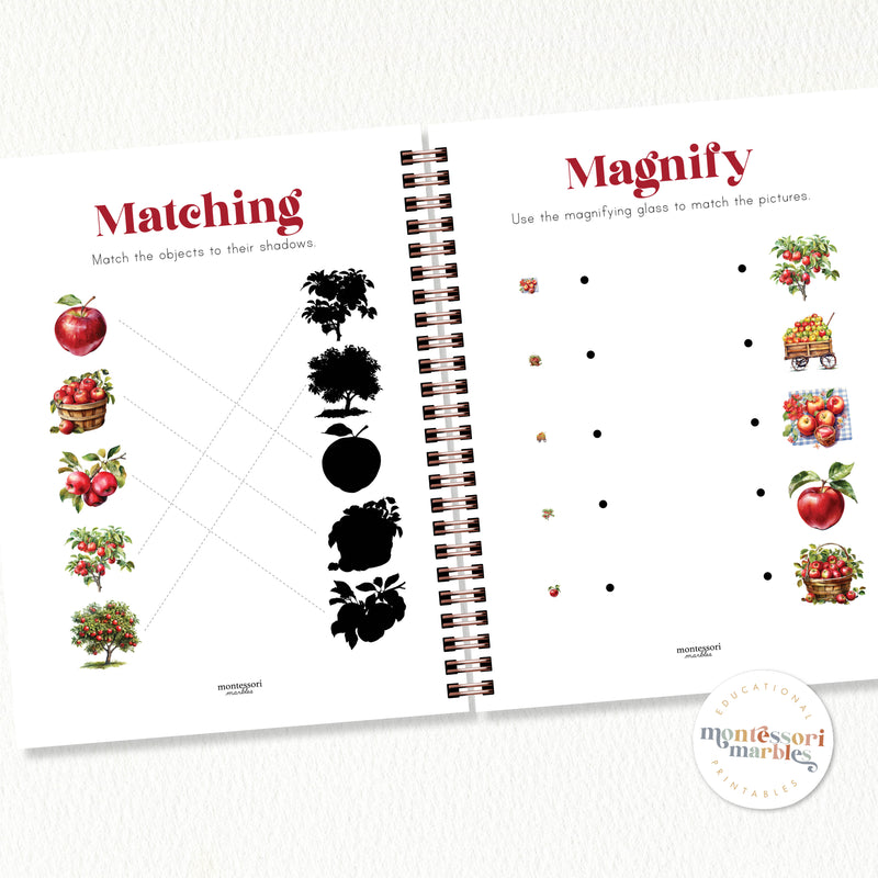 Apple Activity Workbook