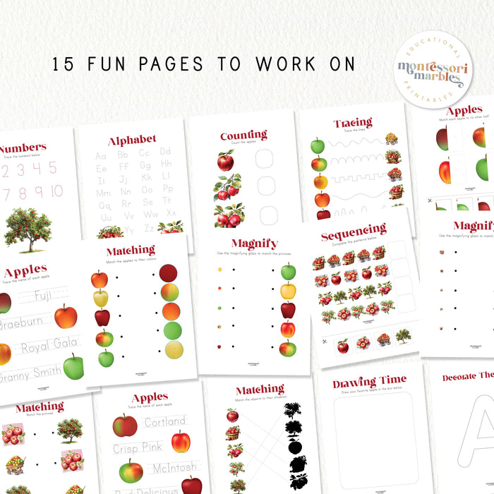 Apple Activity Workbook