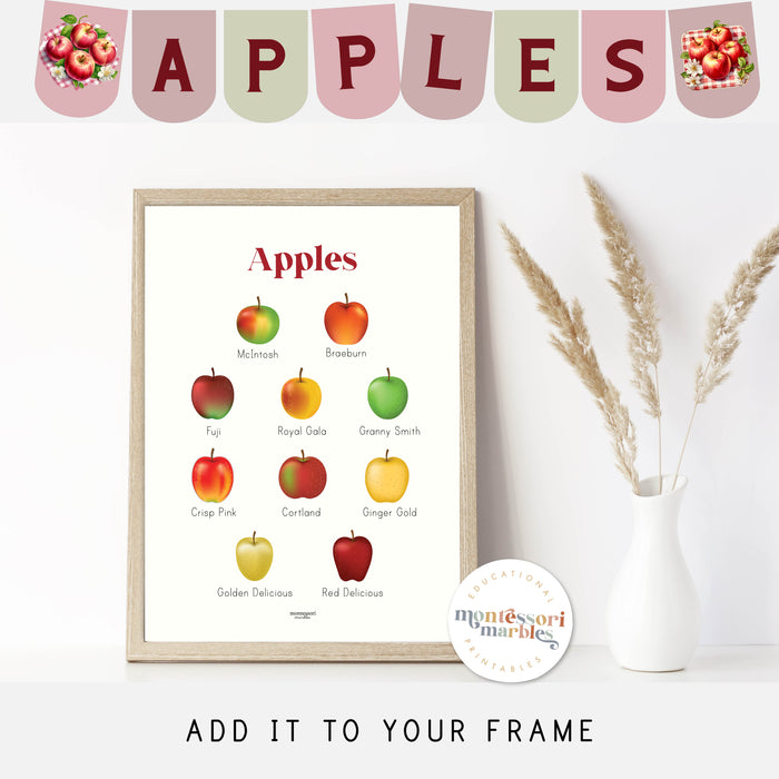 Apple Activity Workbook
