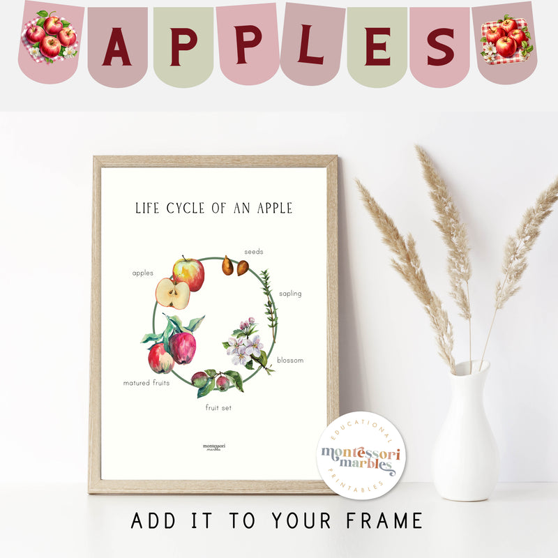 Apple Activity Workbook