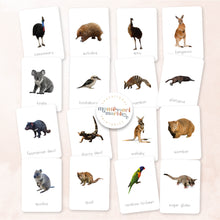 Load image into Gallery viewer, Australian Animals Flash Cards
