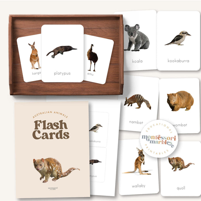 Australian Animals Flash Cards