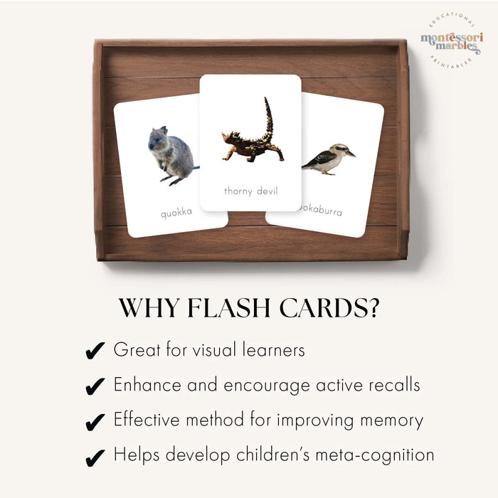 Australian Animals Flash Cards